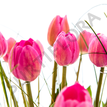 Cargar imagen en el visor de la galería, Toque Perfecto