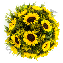 Cargar imagen en el visor de la galería, Sunflower