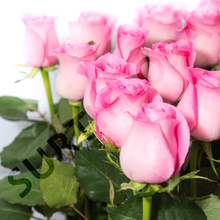 Cargar imagen en el visor de la galería, Jardín de Rosas