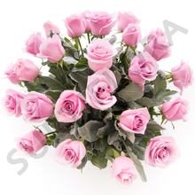 Cargar imagen en el visor de la galería, Caricia