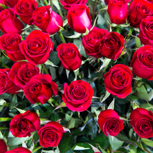 Cargar imagen en el visor de la galería, Lluvia de Amor