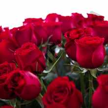 Cargar imagen en el visor de la galería, Lluvia de Amor