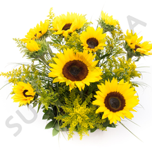Cargar imagen en el visor de la galería, Sombrilla de Girasoles