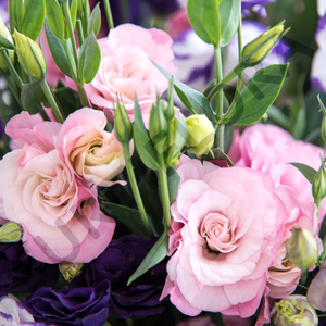 Lysianthus al Natural