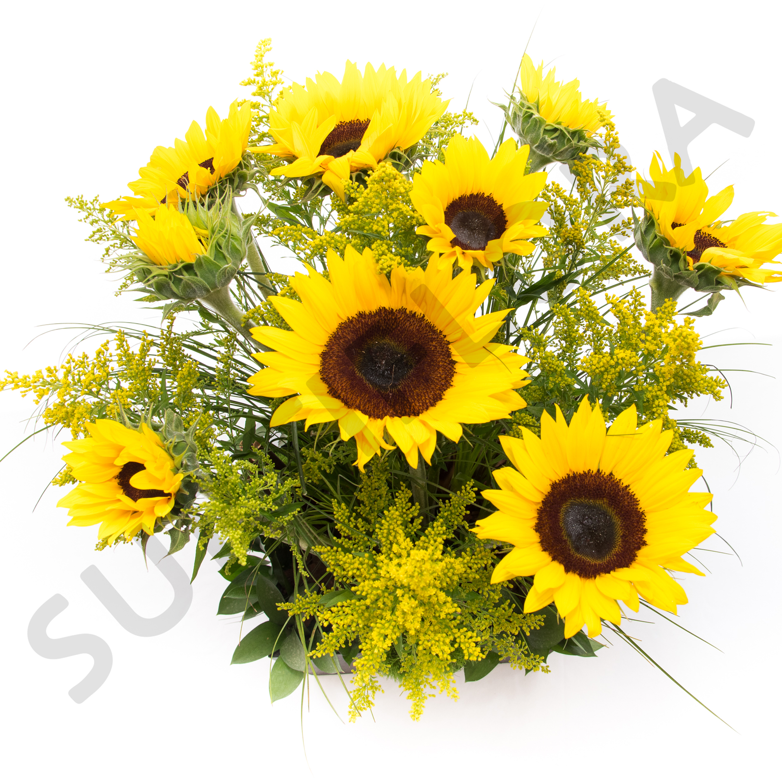 Sombrilla de Girasoles